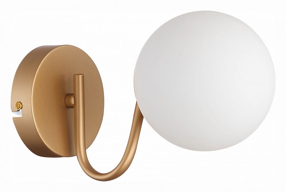 EVO_SLE220601-01